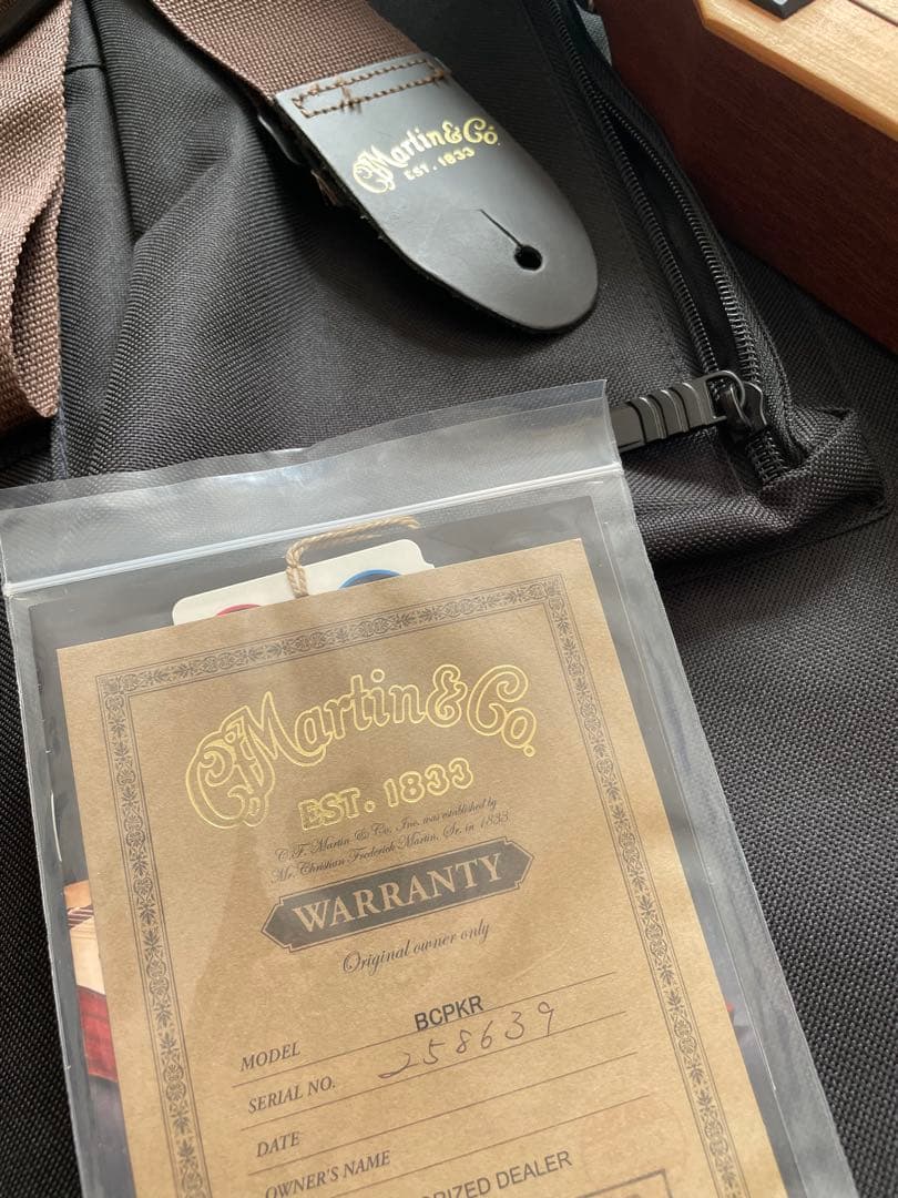 Martin マーチンバックパッカー　生産完了 美品 ケース付 トラベルギター