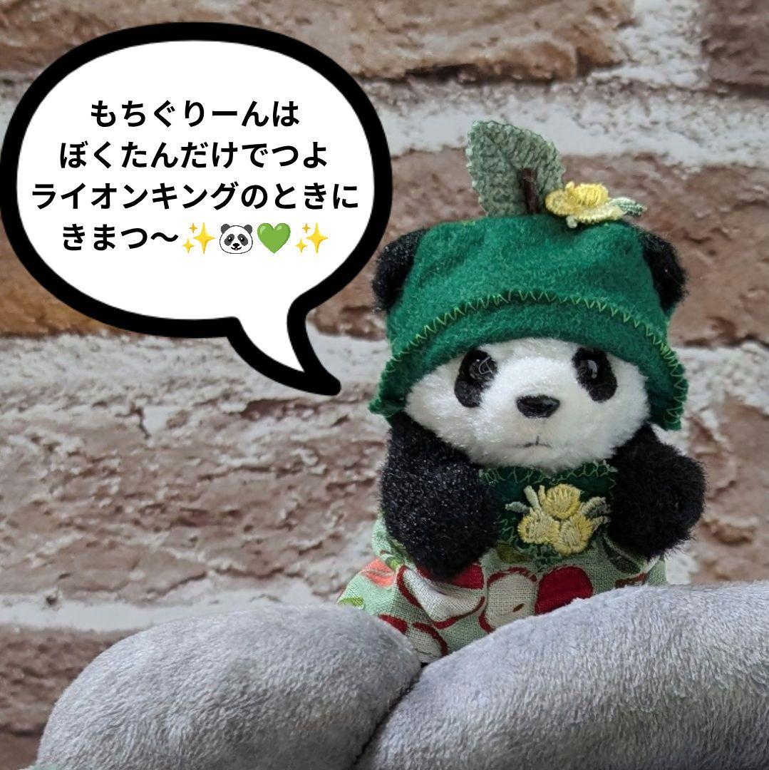 おでシャオたん♡ご注文♡おでかけ隊♡おリンゴガール♡おリンゴボーイ♡コスチューム