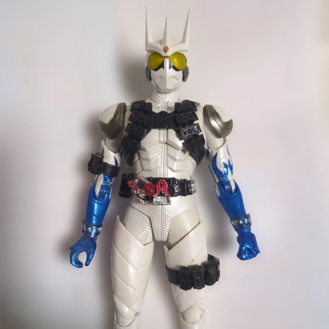 S.H.Figuarts(真骨彫製法) 仮面ライダーエターナル　パーツ欠品有