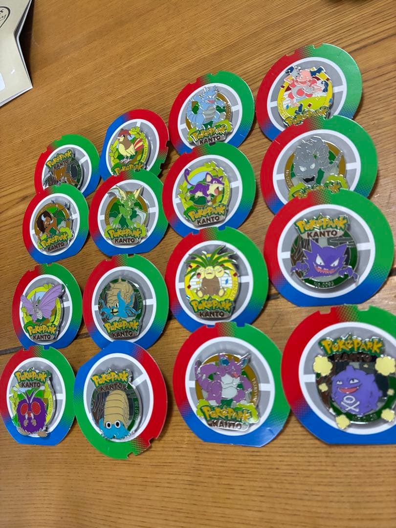 ポケパーク限定 ピンバッジ 16個セット