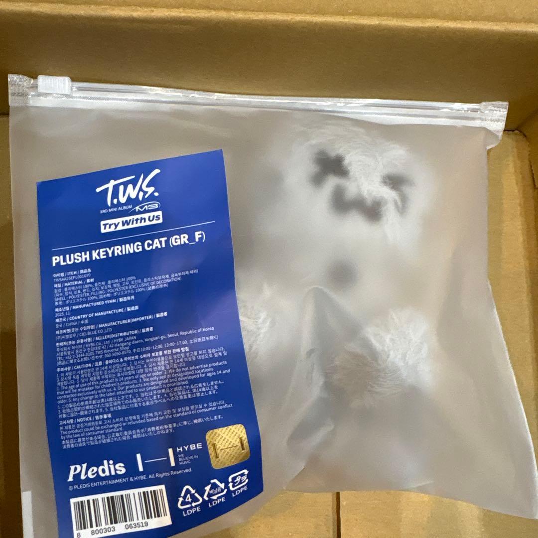 TWSトゥニャンイTRY WITH US PLUSH KEYRING (CAT)