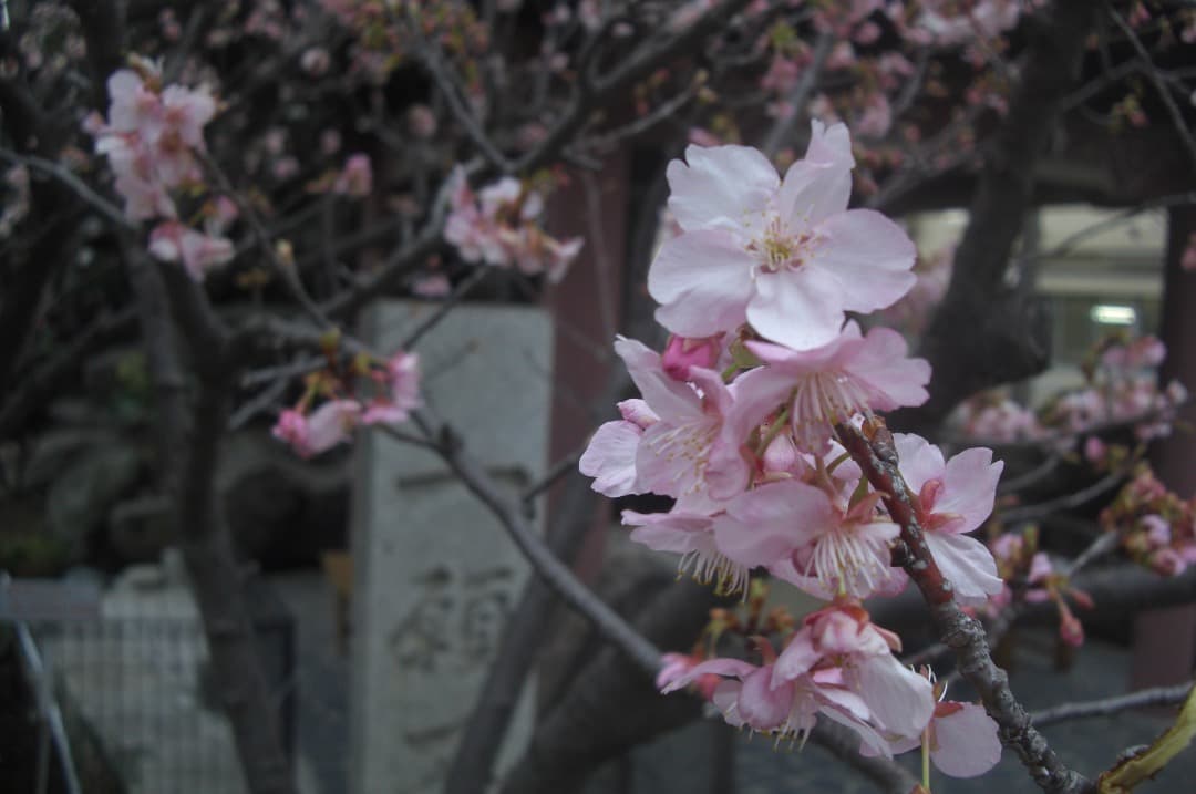 実写美⭕️【動作確認済】CASIO EXILIM EX-Z1200　シルバー