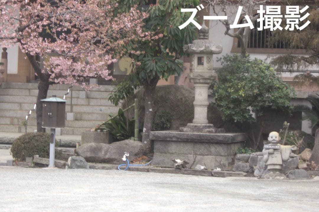 実写美⭕️【動作確認済】CASIO EXILIM EX-Z1200　シルバー