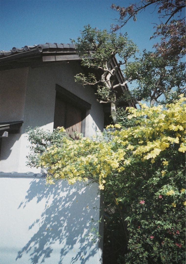 【動作確認・清掃済み＊試写あり】リコーオートハーフS カメラケース付き!