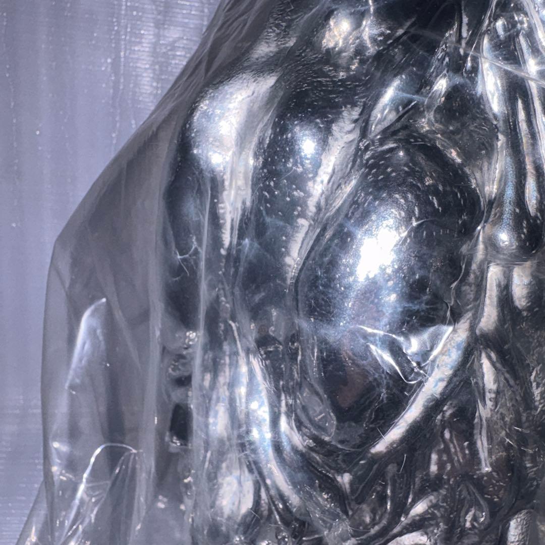 フィギュア王誌上限定　 ヘドラ水銀Ver CCP