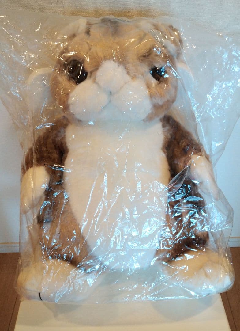 わちふぃーるど ダヤン ぬいぐるみ 48cm 3Lサイズ 670130