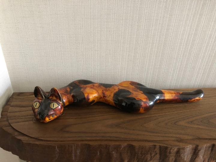 オアフ島から来た猫