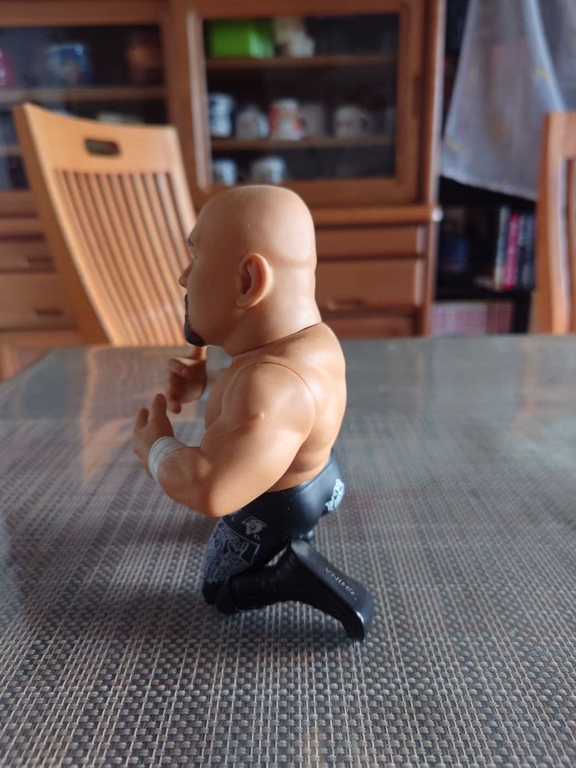 ＨＡＯフィギュアコレクション 武藤敬司