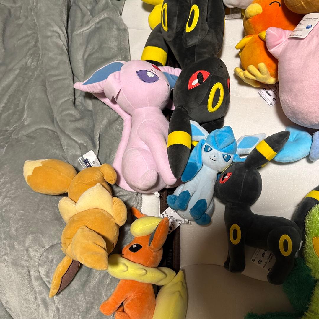 ポケットモンスター　ぬいぐるみ