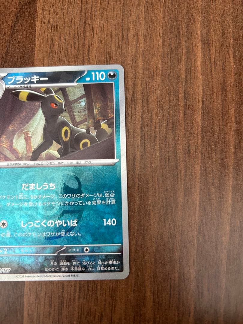 マスターボールブラッキー　美品