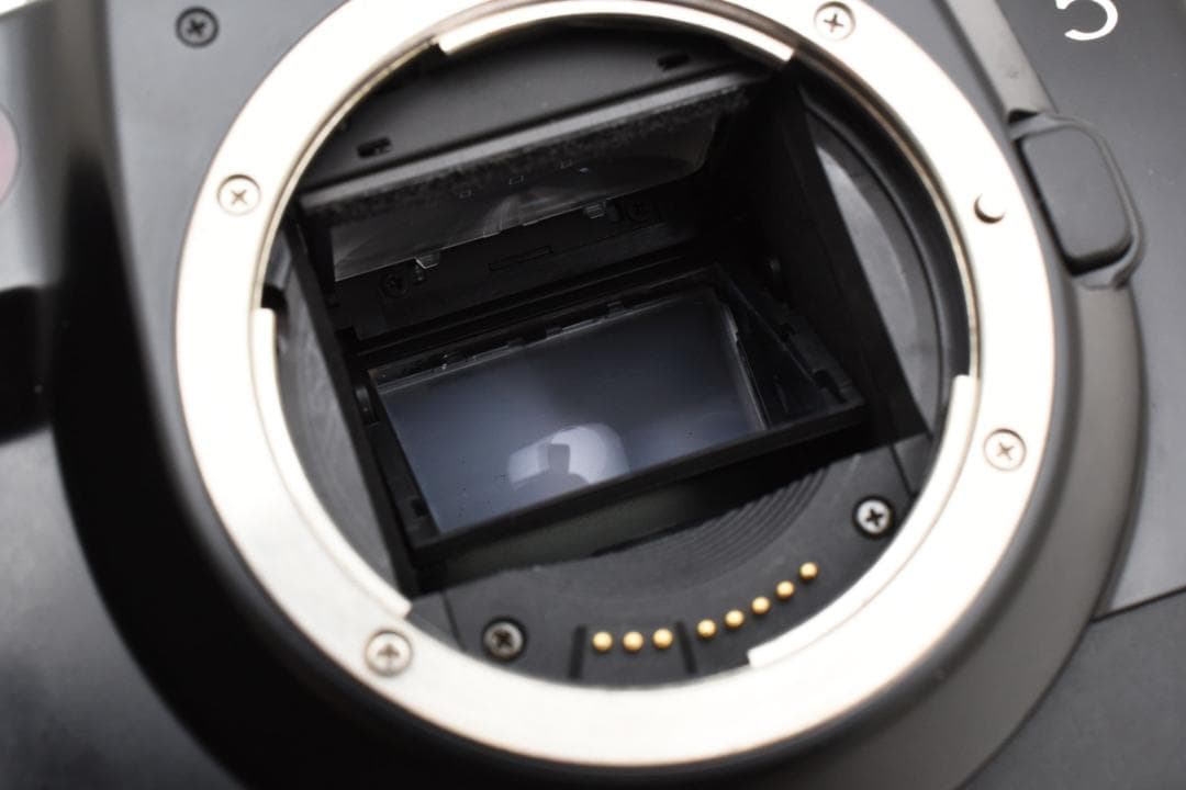 【美品】Canon EOS5 QD AF フィルムカメラ ボディ #E15