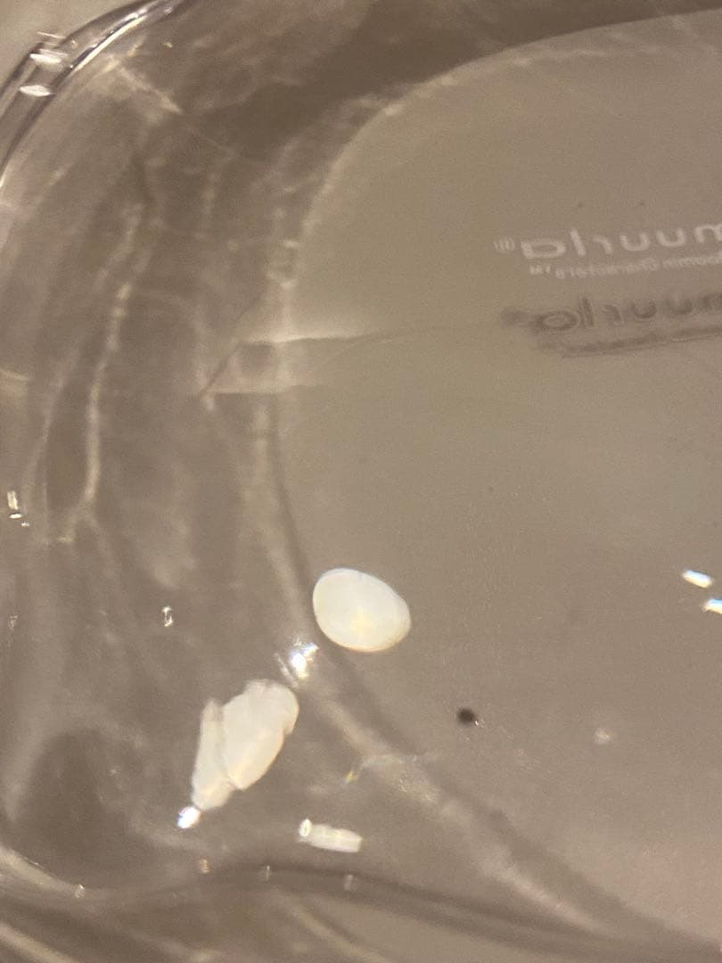 ムーミン モラン ガラスジャー muurla