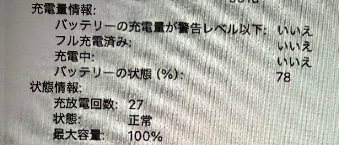 最終値下げMacBook Air M4 スカイブルー　512GB 24GB