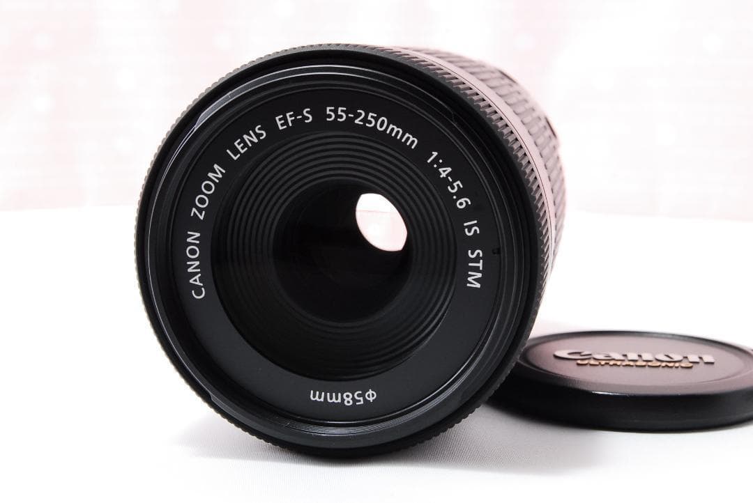 〓手ブレ補正付〓キヤノン EF-S 55-250mm F4-5.6 IS STM