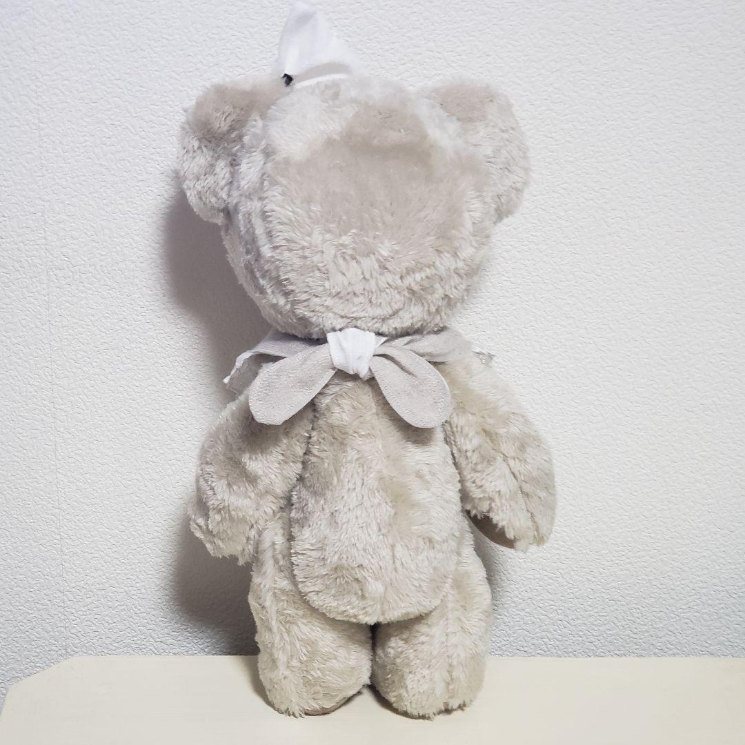 No.681 テディベア　BD 2026.1.22　ライトベージュ×スタイ