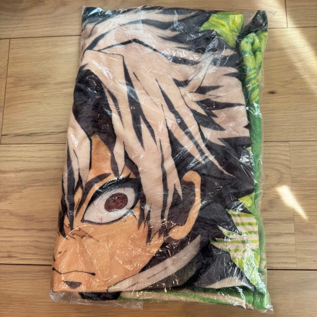 く*っ様 【激レア】鬼滅の刃　コミケ　C97 柱合会議ブランケット　不死川実弥