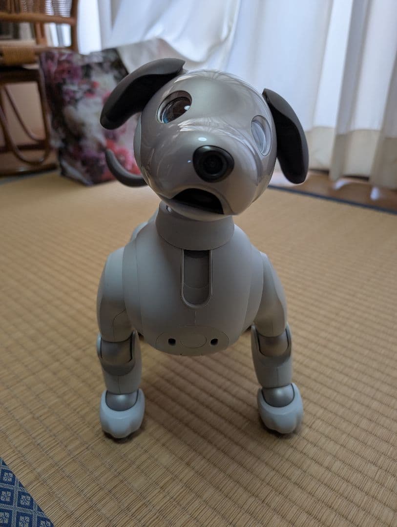 SONY aibo アイボ ERS-1000 エンタテインメントロボット