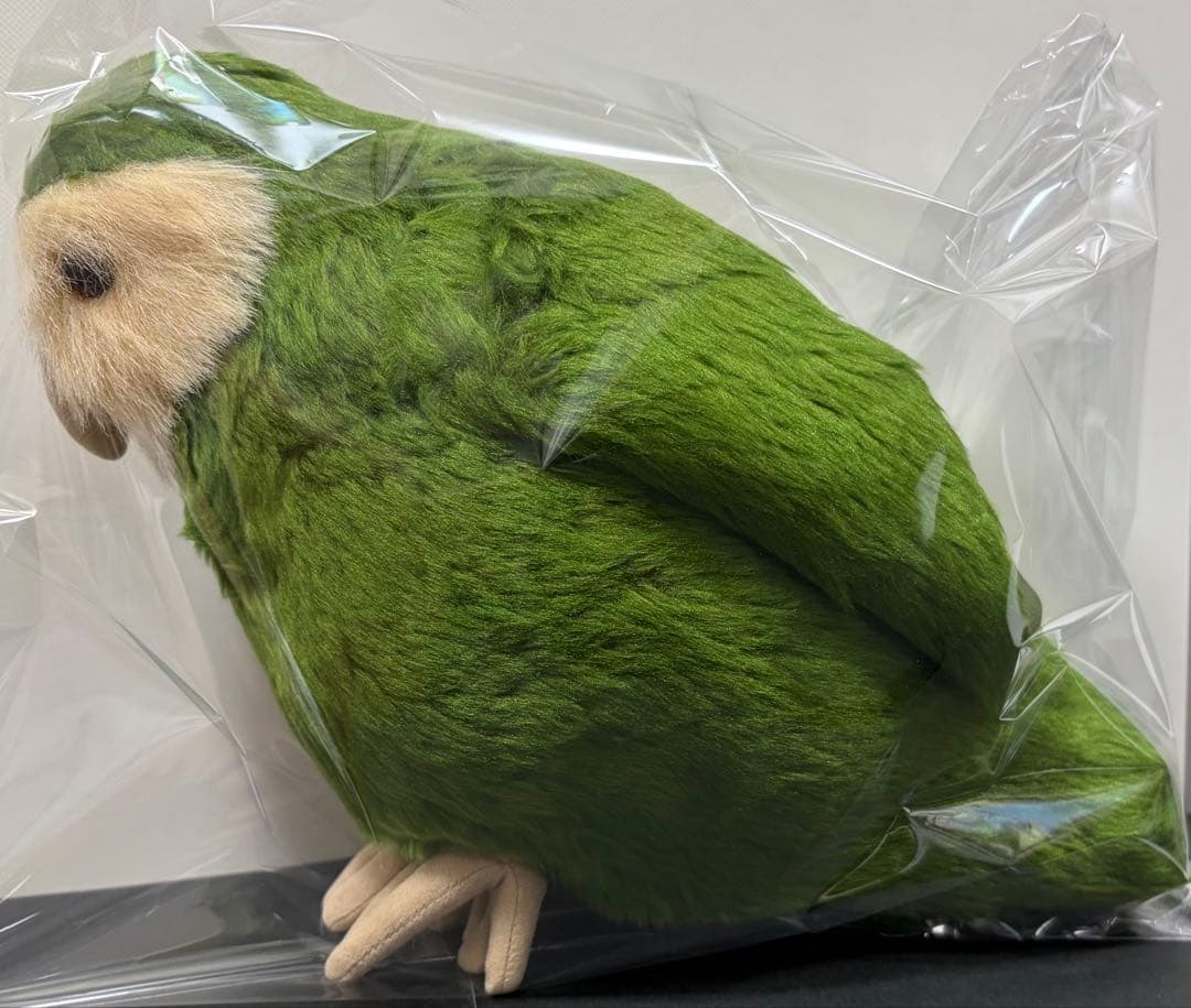 ニュージーランド　カカポ　ぬいぐるみ　鳥