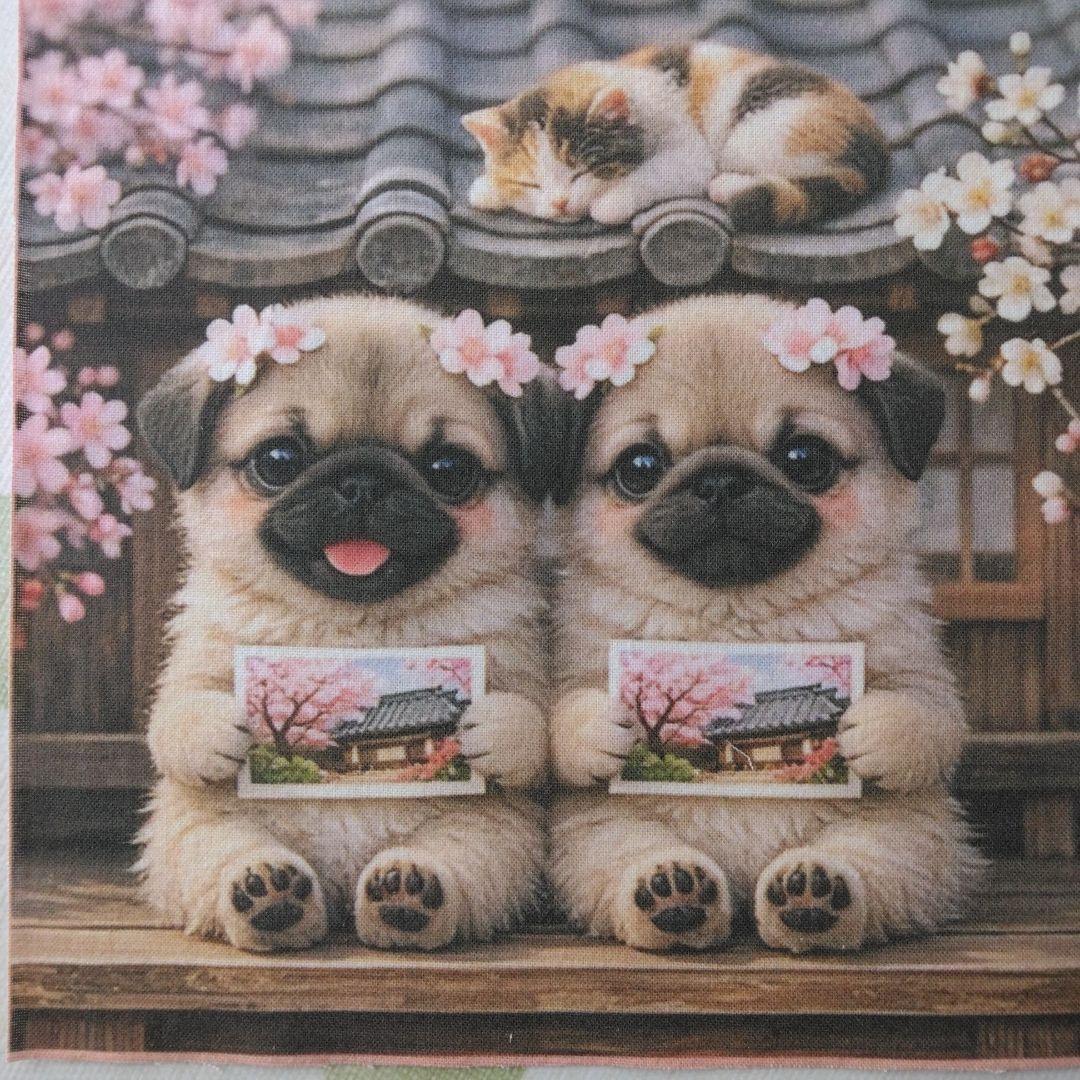 ☆受付☆パグ