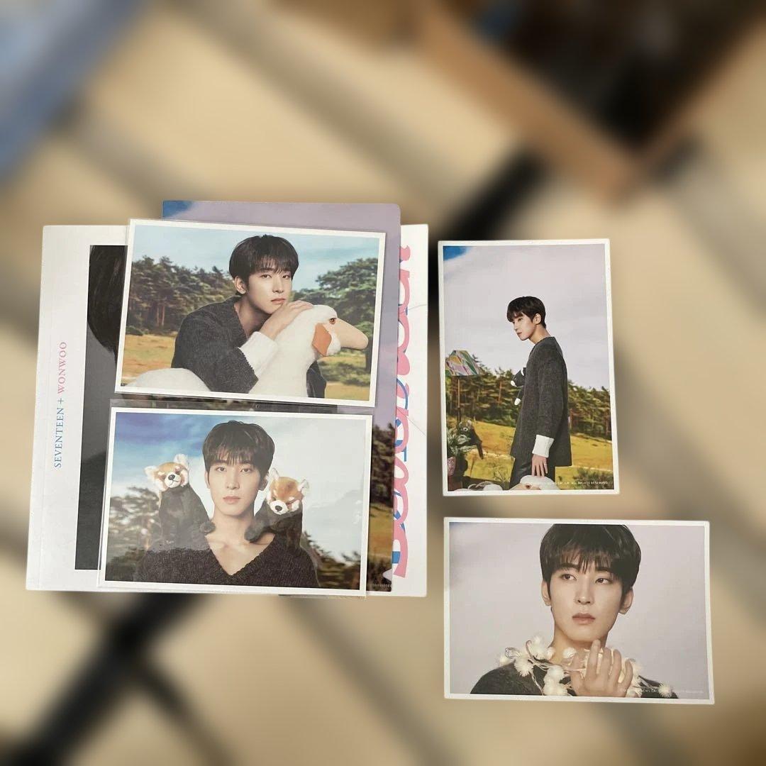 アイドル SEVENTEEN D FESTA WONWOO