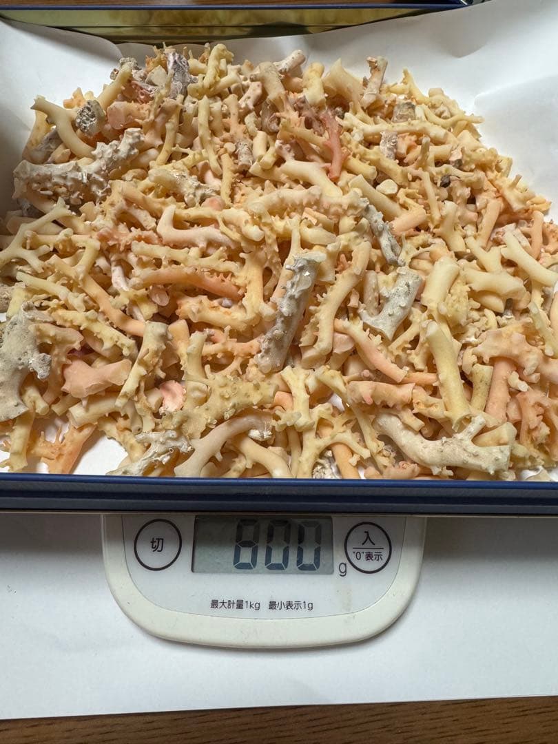 珊瑚　サンゴ　白　桃色　800g以上