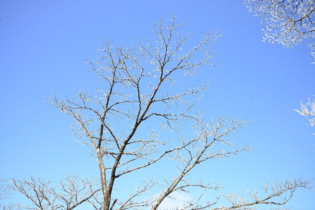 最小価格！！Nikon D600 デジタル一眼レフカメラ