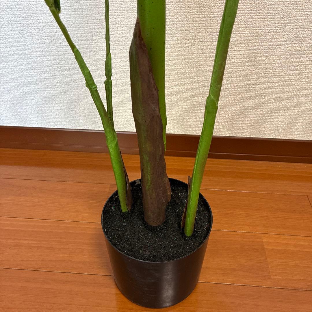 ※手渡し可　ニトリ　大型フェイクグリーン　ソテツ　150cm