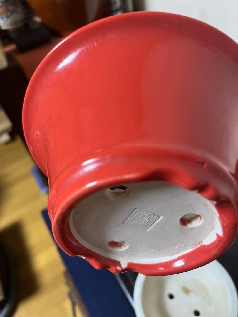 380 盆栽　盆栽鉢　植木鉢　中国鉢　3鉢