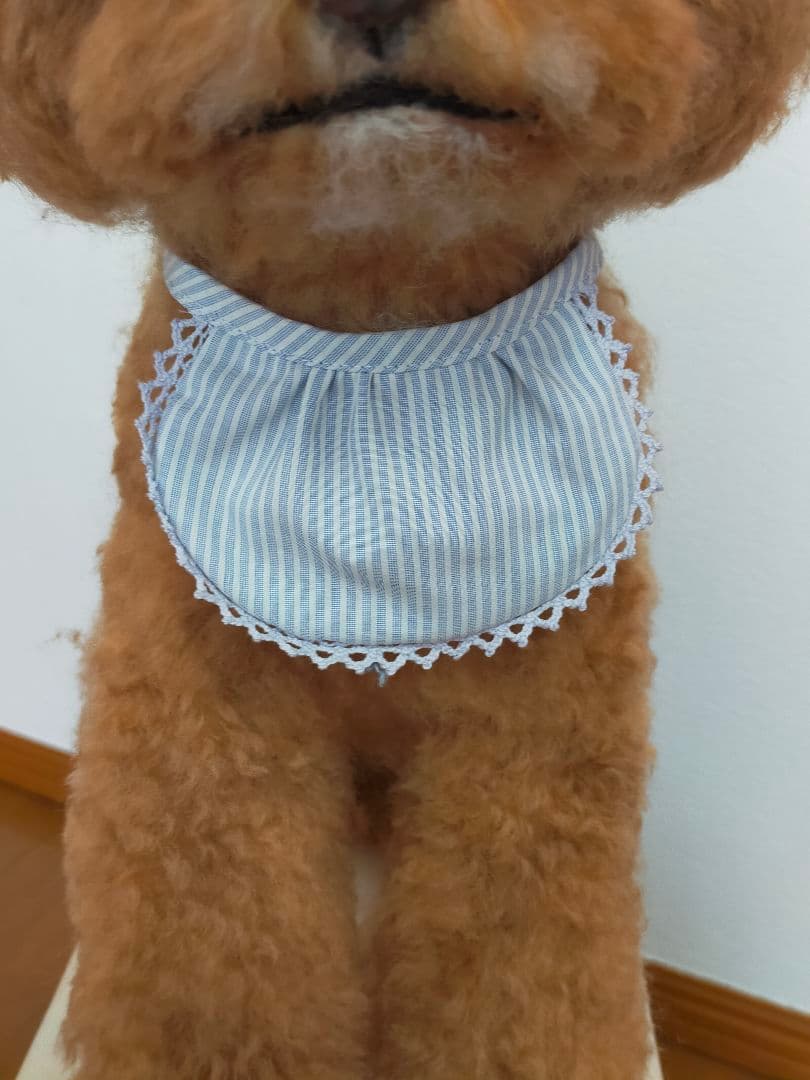 remi tiro実物大オーダー♡