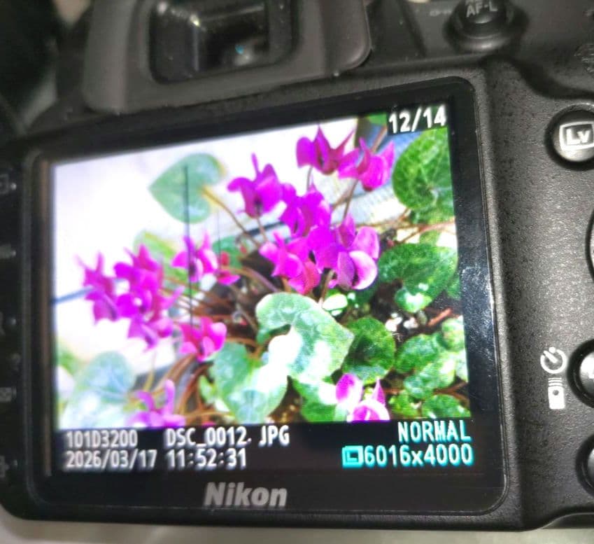 ショット数■6,606回 Nikon D3200 デジタル一眼レフ レンズ付