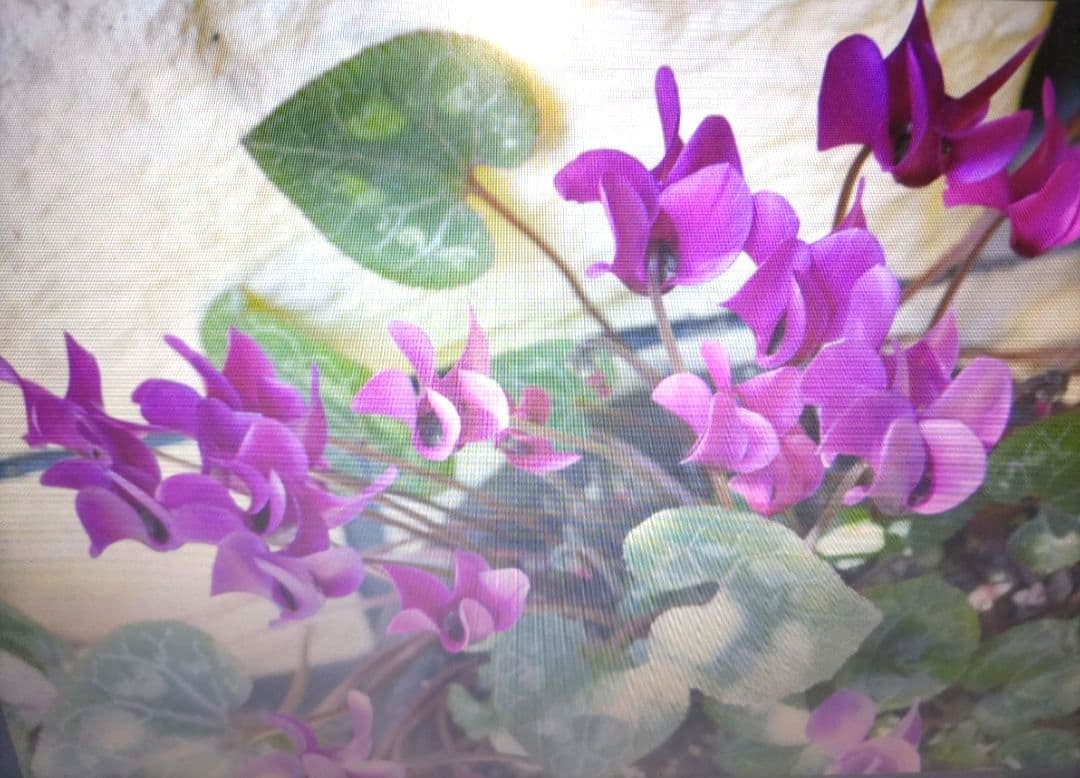 ショット数■6,606回 Nikon D3200 デジタル一眼レフ レンズ付