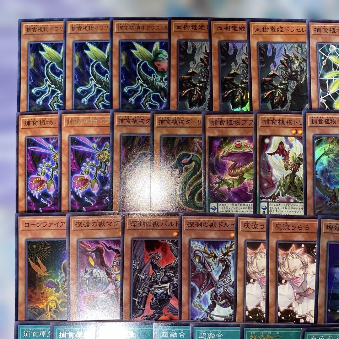 【2192】遊戯王　捕食植物デッキ　プレデタープランツcs優勝構築超逸融合　大会