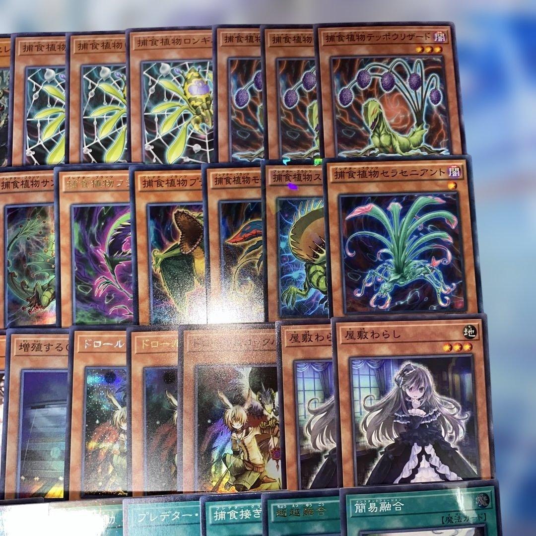 【2192】遊戯王　捕食植物デッキ　プレデタープランツcs優勝構築超逸融合　大会