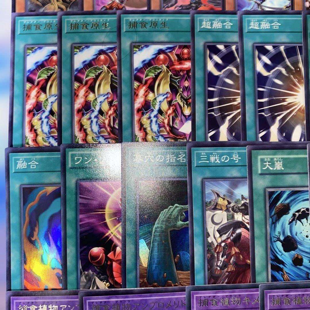 【2192】遊戯王　捕食植物デッキ　プレデタープランツcs優勝構築超逸融合　大会