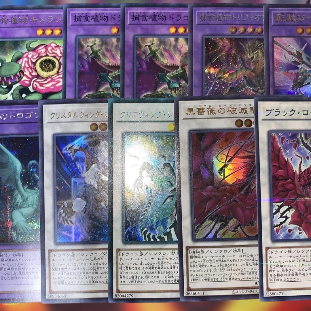 【2192】遊戯王　捕食植物デッキ　プレデタープランツcs優勝構築超逸融合　大会