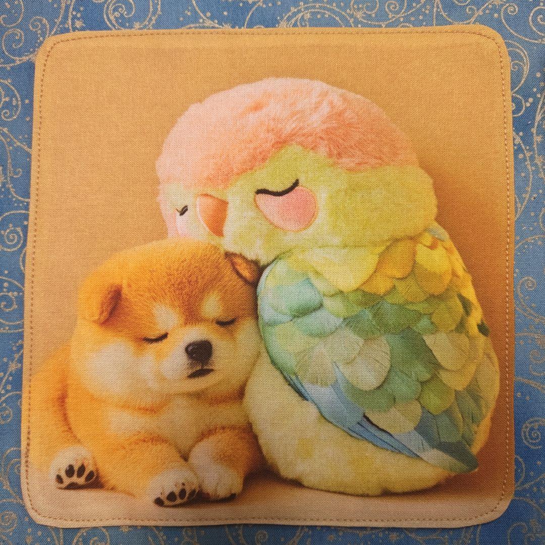 MAY ランチョンマット風1枚　ハンカチ11枚 　柴犬さん柄