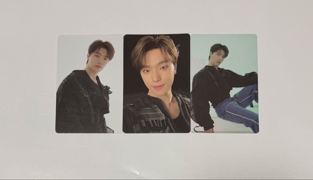 セブチ ディノ トレカ バインダー 消費期限 ケレン 舞い落ちる花びら HMV