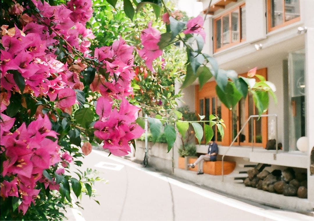 【作動保証1ヶ月】整備済、完動品/ OLYMPUS PEN EED オリンパス