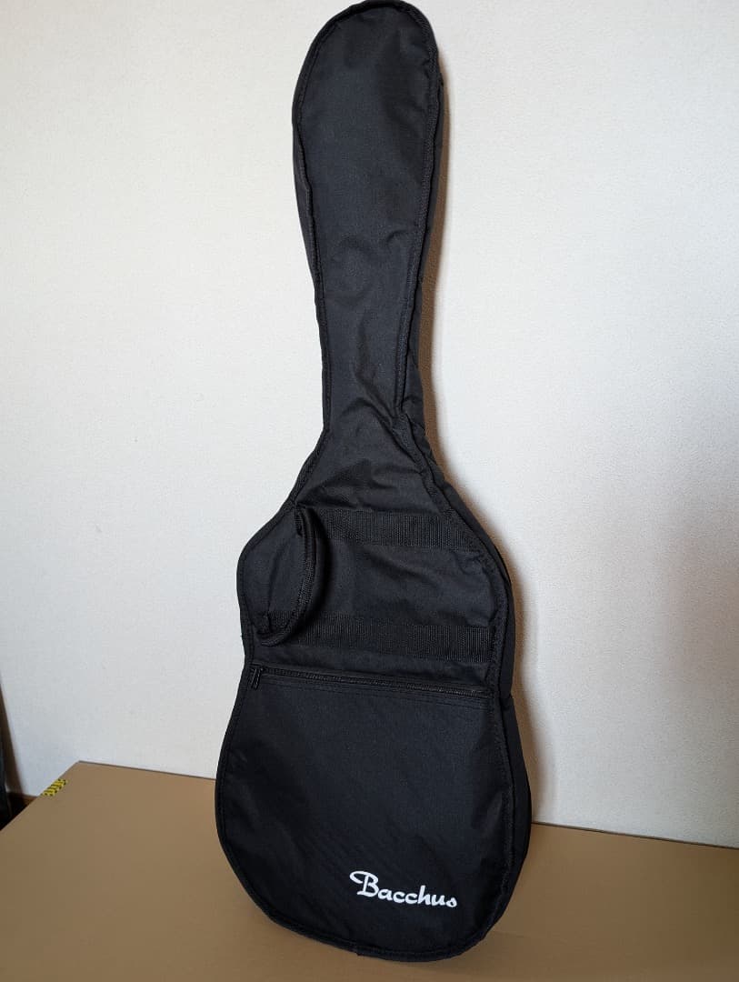 レア Bacchus BST-350M 生産終了モデル Stratocaster