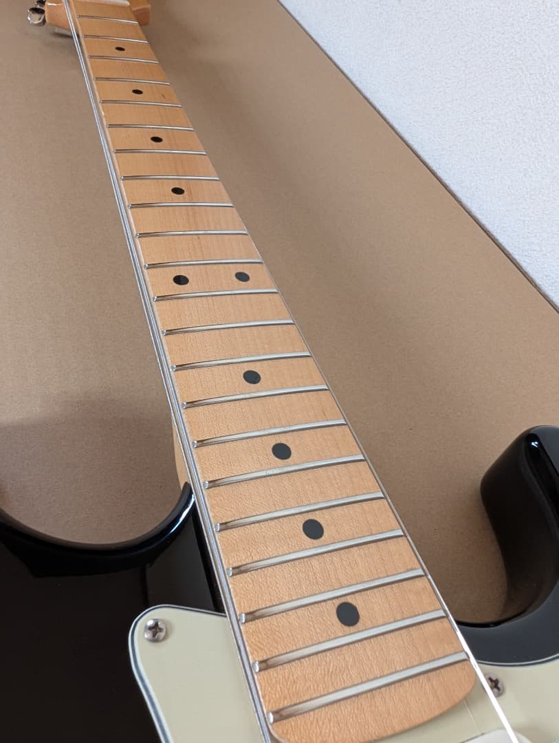 レア Bacchus BST-350M 生産終了モデル Stratocaster