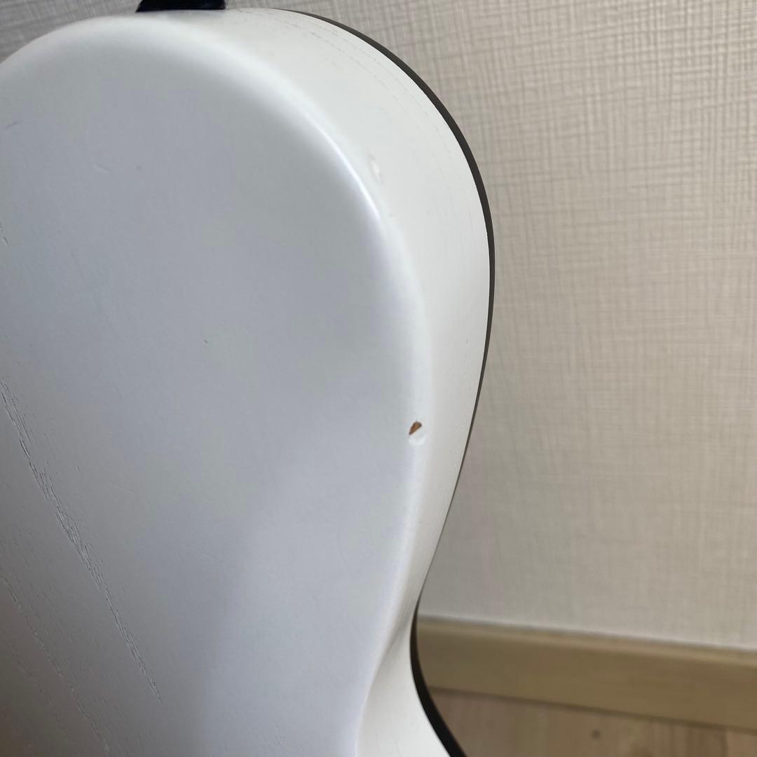 ギター JIL-ASH-DE-G FUJIGEN