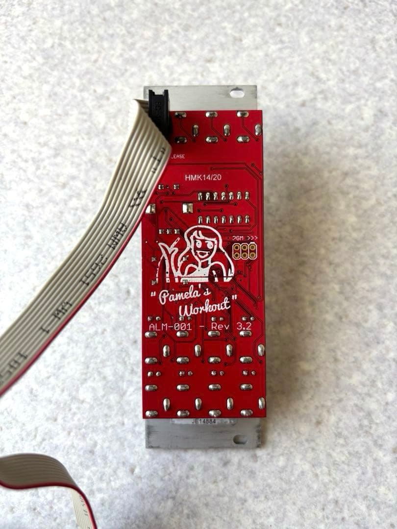 Pamela's Workout モジュラーシンセサイザー