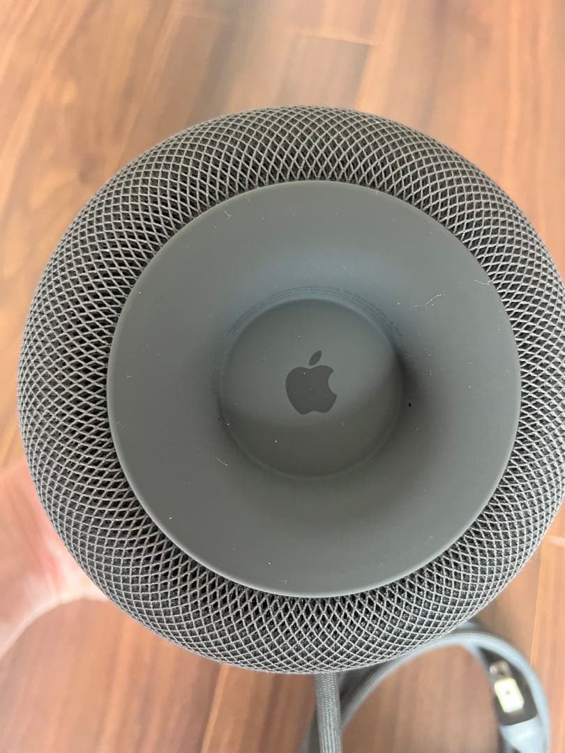 ［ジャンク品］Apple Pod スペースグレー