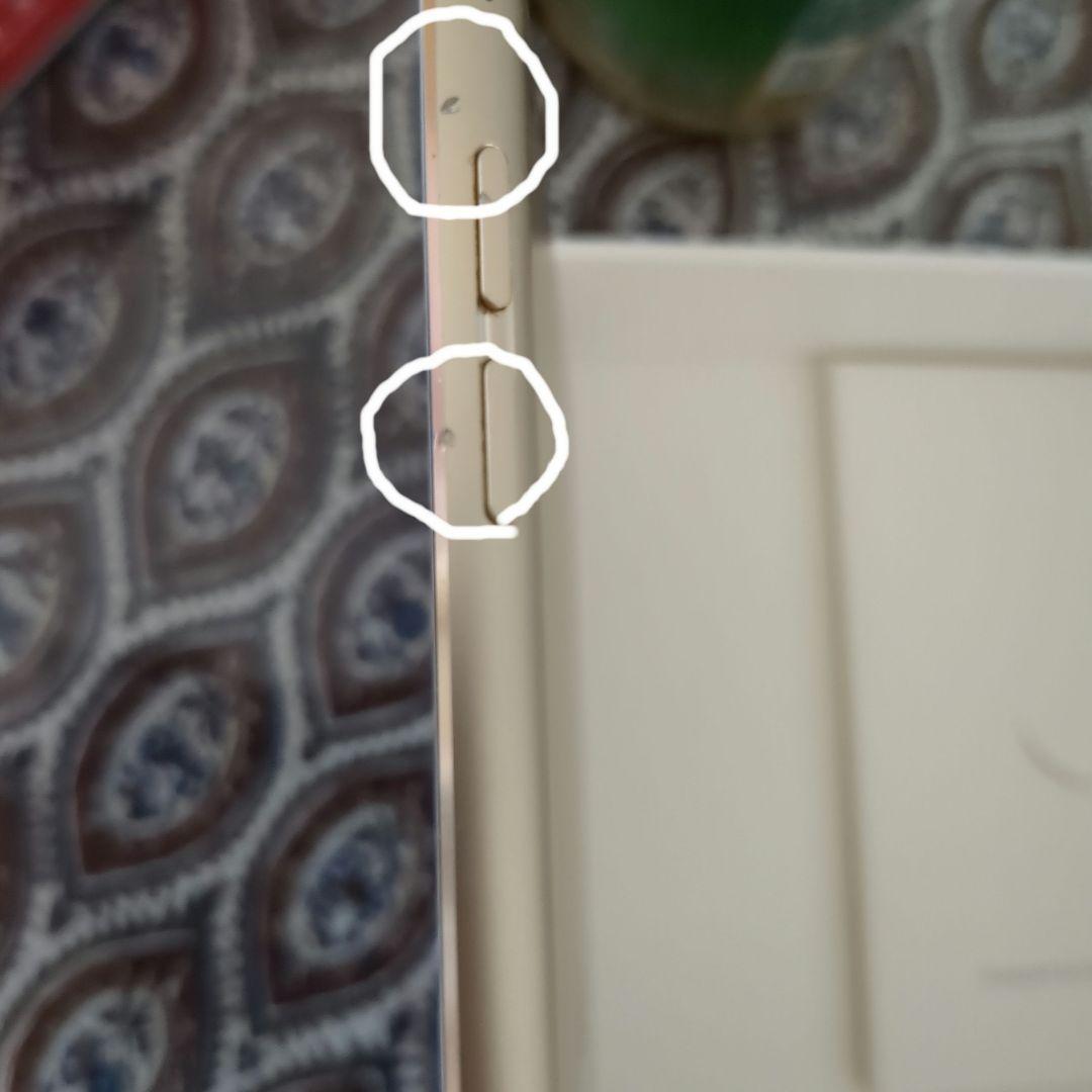 iPad mini第4世代ゴールド 64GB Wi-Fi