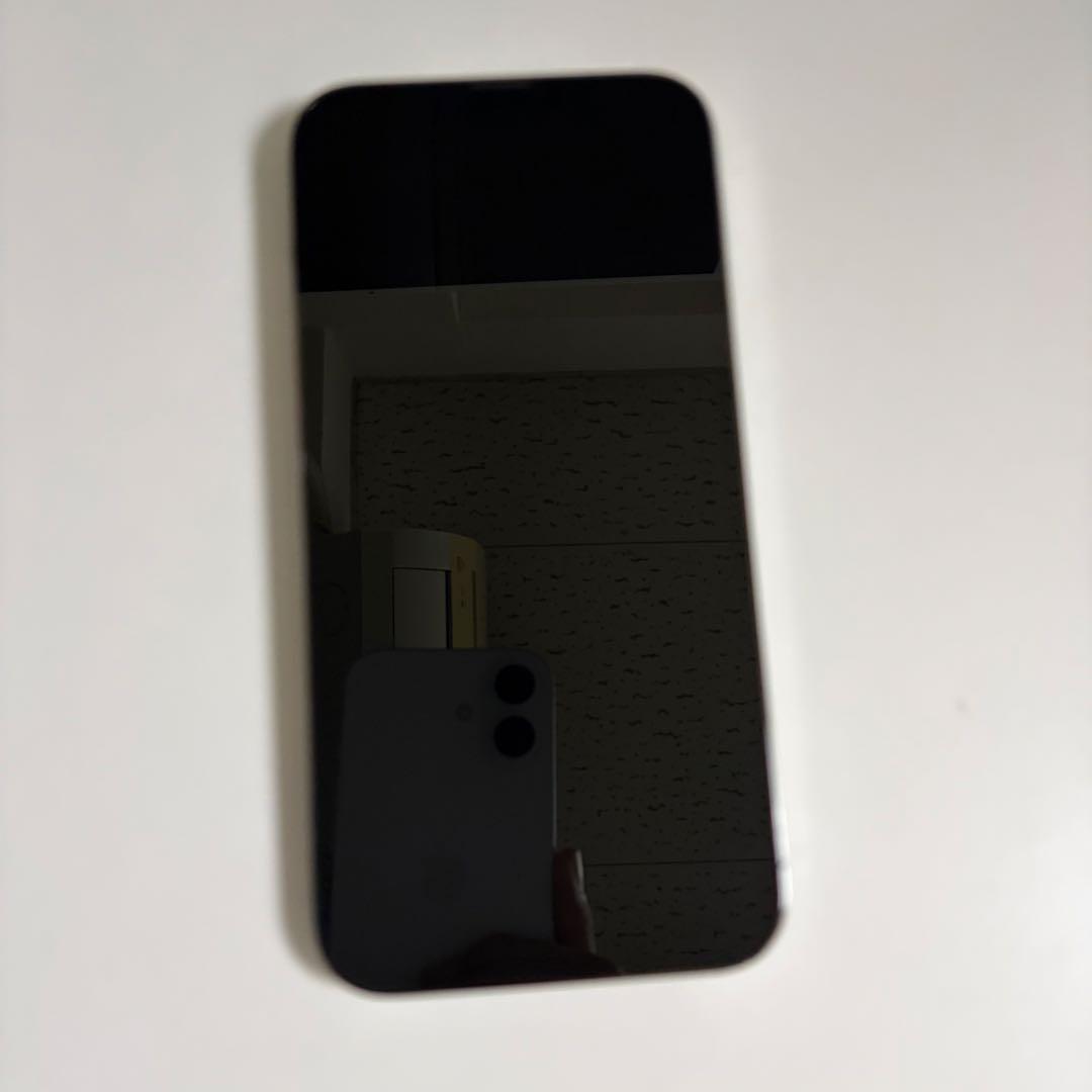 Apple iPhone 13 Promax グラファイト 本体　256gb