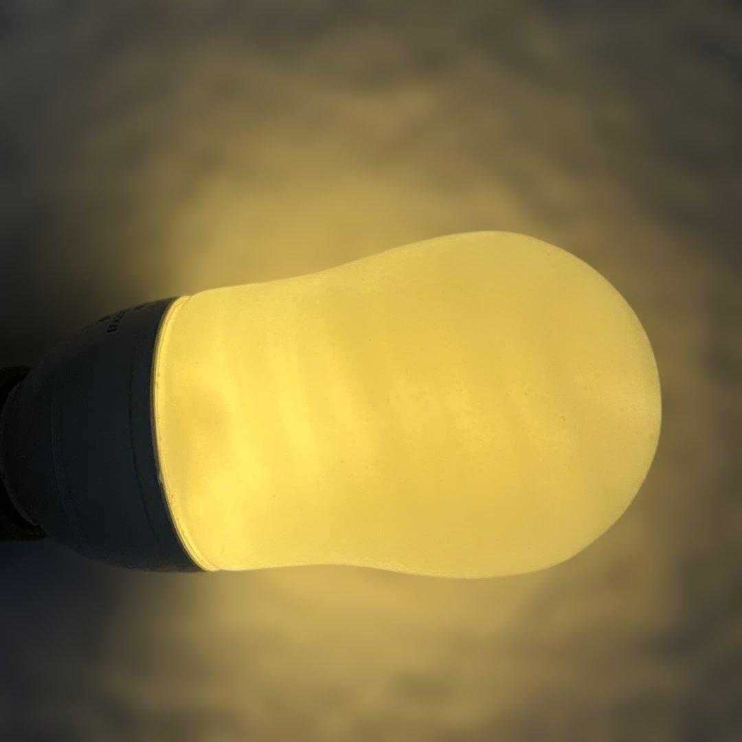 ま*い様 ★☆Panasonicパルックボール プレミア100形電球タイプ 4個