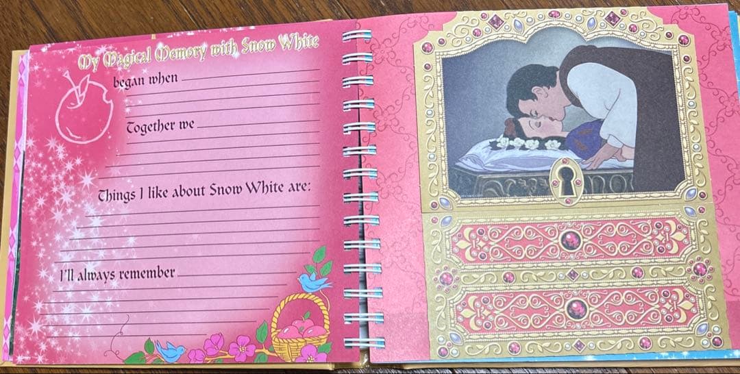 ディズニー　プリンセス　Autograph Book サイン帳　アルバム