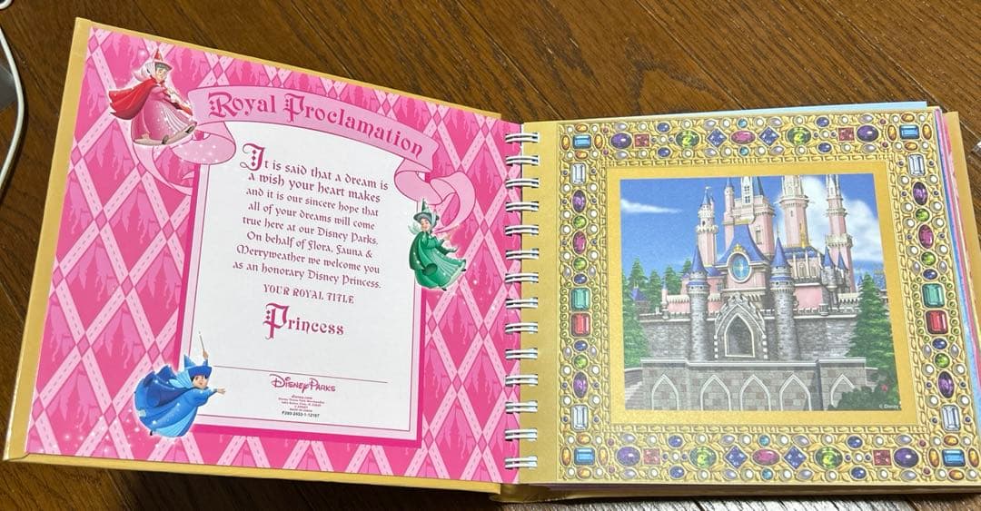 ディズニー　プリンセス　Autograph Book サイン帳　アルバム