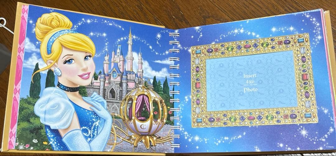 ディズニー　プリンセス　Autograph Book サイン帳　アルバム