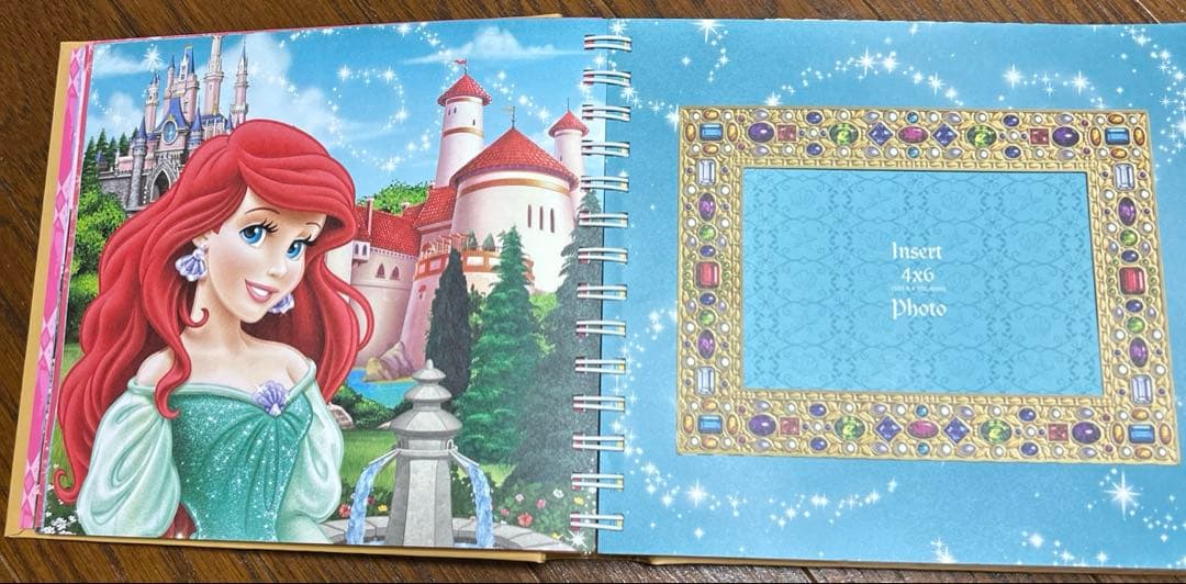 ディズニー　プリンセス　Autograph Book サイン帳　アルバム